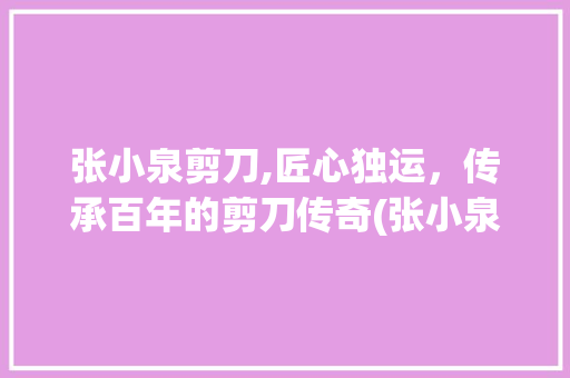 张小泉剪刀,匠心独运，传承百年的剪刀传奇(张小泉剪刀价格表) 手机电脑