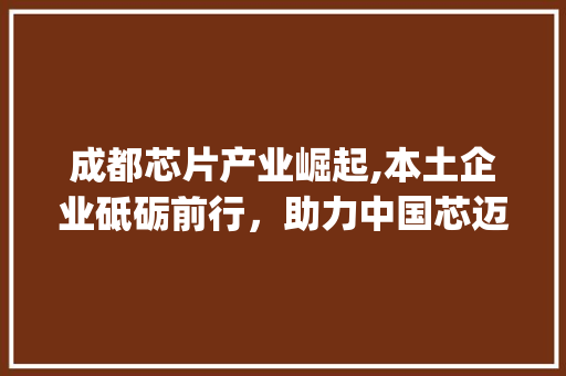 成都芯片产业崛起,本土企业砥砺前行，助力中国芯迈向世界舞台(成都芯片企业排名) 旅游攻略