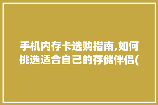 手机内存卡选购指南,如何挑选适合自己的存储伴侣(手机内存卡怎么选) 旅游攻略