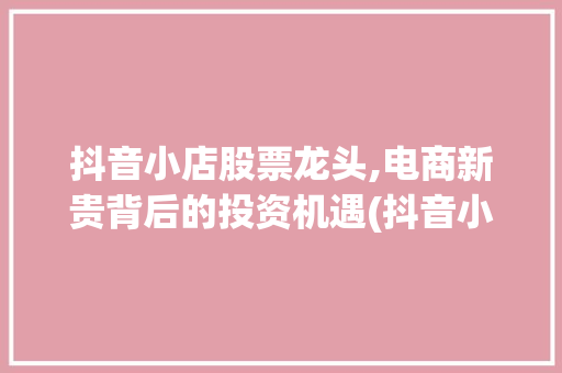 抖音小店股票龙头,电商新贵背后的投资机遇(抖音小店股票龙头) 旅游攻略