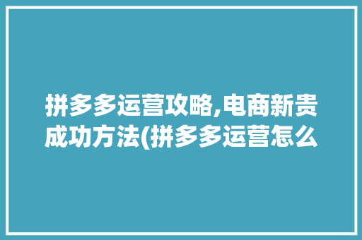 拼多多运营攻略,电商新贵成功方法(拼多多运营怎么做) 健康母婴