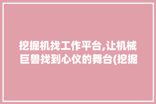 挖掘机找工作平台,让机械巨兽找到心仪的舞台(挖掘机找工作平台) 健康母婴