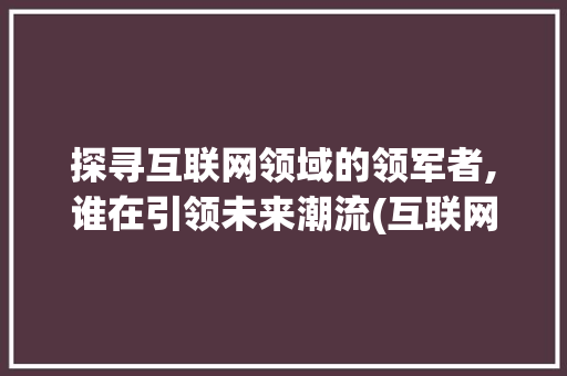 探寻互联网领域的领军者,谁在引领未来潮流(互联网谁做的最好) 健康母婴
