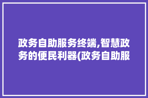 政务自助服务终端,智慧政务的便民利器(政务自助服务终端) 手机电脑