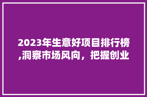 2023年生意好项目排行榜,洞察市场风向，把握创业商机(生意好项目排行榜) 手机电脑