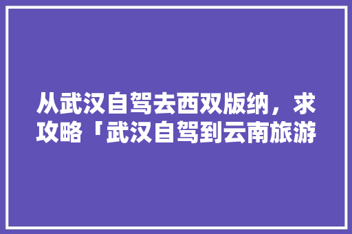 从武汉自驾去西双版纳，求攻略「武汉自驾到云南旅游攻略路线」 从武汉自驾去西双版纳，求攻略「武汉自驾到云南旅游攻略路线」 旅游攻略