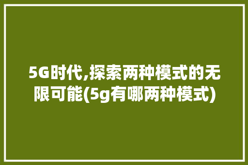 5G时代,探索两种模式的无限可能(5g有哪两种模式) 旅游攻略