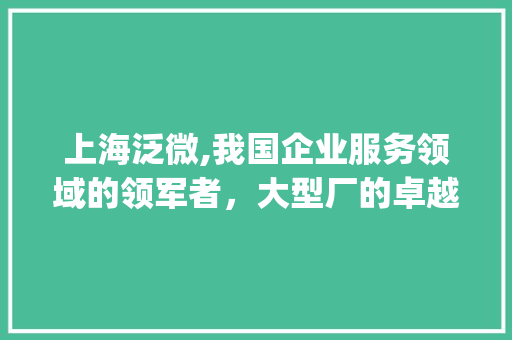 上海泛微,我国企业服务领域的领军者，大型厂的卓越风采(上海泛微算大厂吗) 健康母婴