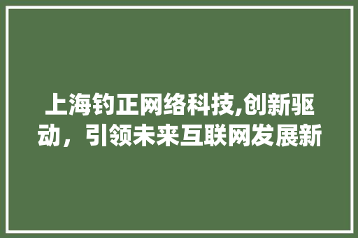 上海钓正网络科技,创新驱动，引领未来互联网发展新潮流(上海钓正网络科技) 手机电脑