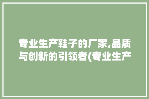 专业生产鞋子的厂家,品质与创新的引领者(专业生产鞋子厂家) 汽车常识