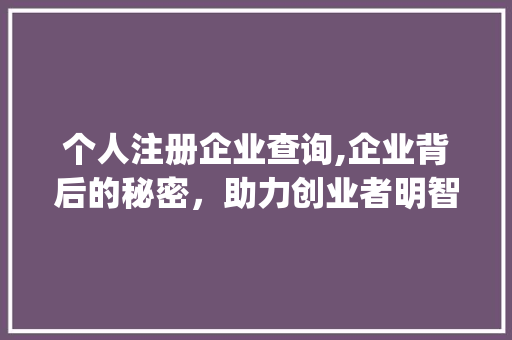 个人注册企业查询,企业背后的秘密，助力创业者明智决策(个人注册企业查询)