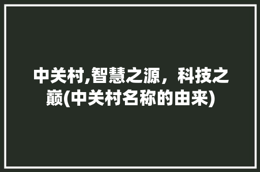 中关村,智慧之源，科技之巅(中关村名称的由来)