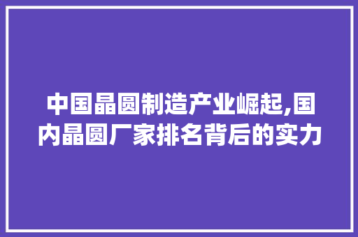 中国晶圆制造产业崛起,国内晶圆厂家排名背后的实力与机遇(国内晶圆厂家排名) 健康母婴