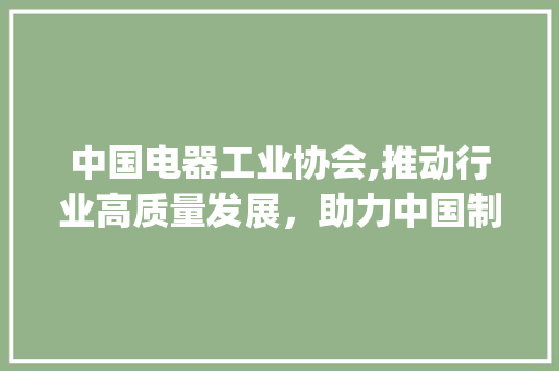 中国电器工业协会,推动行业高质量发展，助力中国制造迈向世界舞台(中国电器工业协会)