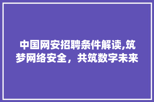 中国网安招聘条件解读,筑梦网络安全，共筑数字未来(中国网安招聘条件)