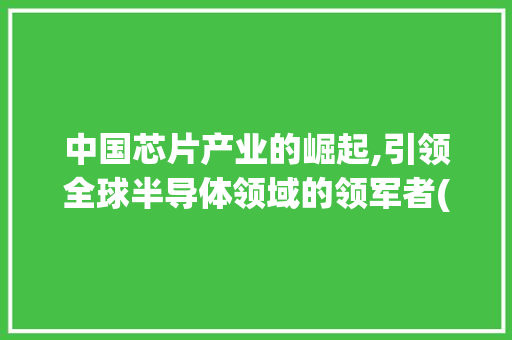 中国芯片产业的崛起,引领全球半导体领域的领军者(中国芯片排名第一) 健康母婴