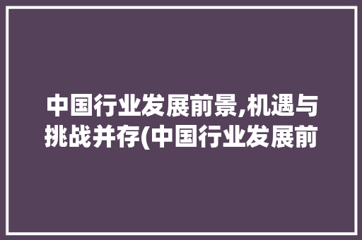 中国行业发展前景,机遇与挑战并存(中国行业发展前景)