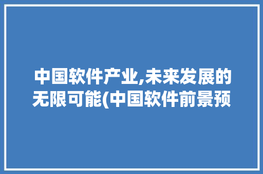 中国软件产业,未来发展的无限可能(中国软件前景预测)