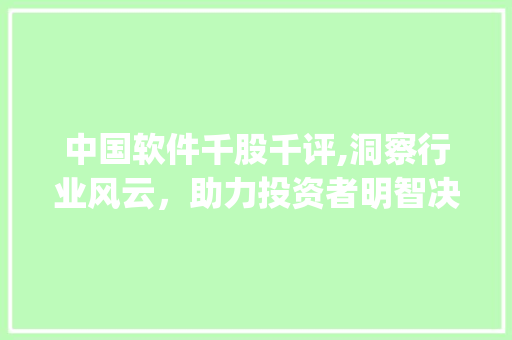 中国软件千股千评,洞察行业风云，助力投资者明智决策(中国软件千股千评)