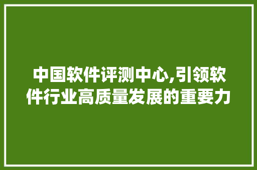 中国软件评测中心,引领软件行业高质量发展的重要力量(中国软件评测中心)