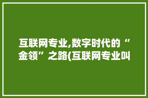 互联网专业,数字时代的“金领”之路(互联网专业叫什么)