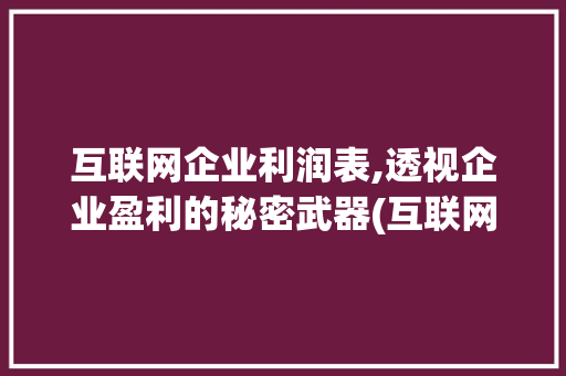 互联网企业利润表,透视企业盈利的秘密武器(互联网利润表特点)