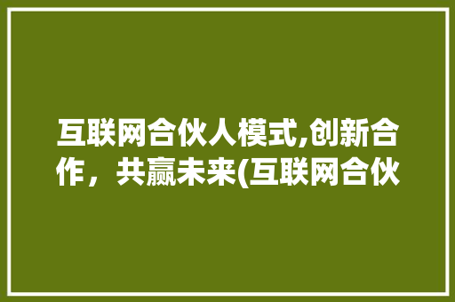 互联网合伙人模式,创新合作，共赢未来(互联网合伙人模式)