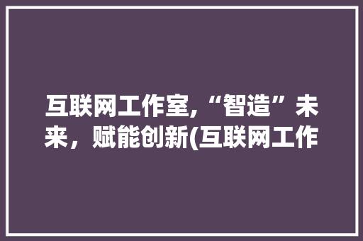 互联网工作室,“智造”未来，赋能创新(互联网工作室名字)