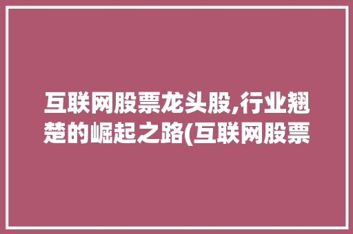 互联网股票龙头股,行业翘楚的崛起之路(互联网股票龙头股)