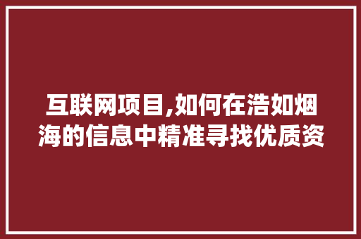 互联网项目,如何在浩如烟海的信息中精准寻找优质资源(互联网项目在哪找)