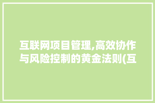 互联网项目管理,高效协作与风险控制的黄金法则(互联网 项目管理)