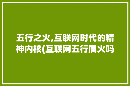 五行之火,互联网时代的精神内核(互联网五行属火吗)