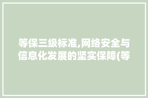 等保三级标准,网络安全与信息化发展的坚实保障(等保三级标准) 时尚穿搭