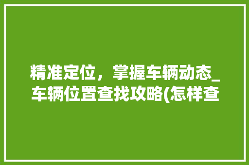 精准定位，掌握车辆动态_车辆位置查找攻略(怎样查找车辆位置) 手机电脑