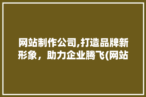 网站制作公司,打造品牌新形象，助力企业腾飞(网站制作公司咨询) 时尚穿搭