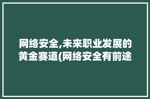 网络安全,未来职业发展的黄金赛道(网络安全有前途吗) 手机电脑