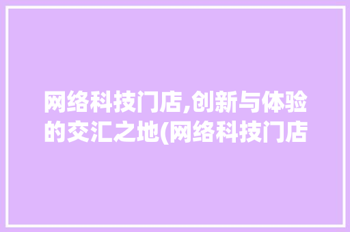 网络科技门店,创新与体验的交汇之地(网络科技门店照片)