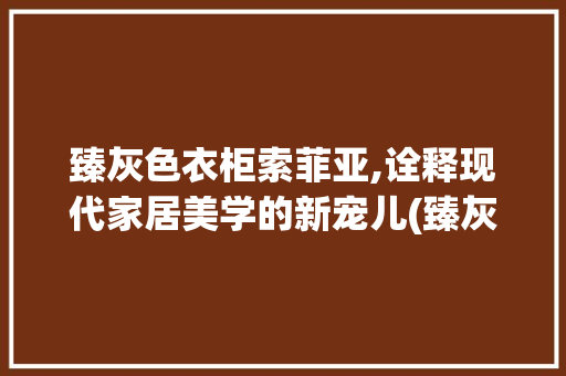 臻灰色衣柜索菲亚,诠释现代家居美学的新宠儿(臻灰色衣柜索菲亚) 旅游攻略