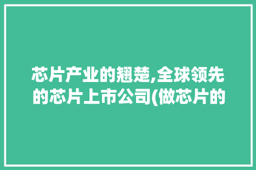 芯片产业的翘楚,全球领先的芯片上市公司(做芯片的上市公司) 健康母婴