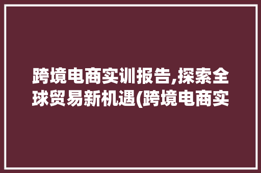 跨境电商实训报告,探索全球贸易新机遇(跨境电商实训报告) 手机电脑
