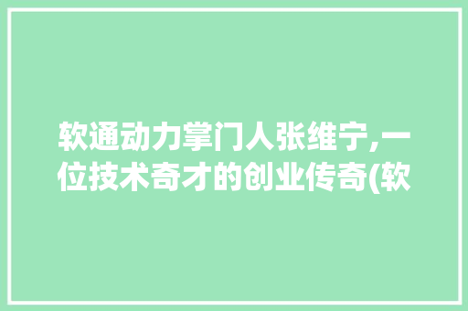 软通动力掌门人张维宁,一位技术奇才的创业传奇(软通动力老板背景) 手机电脑
