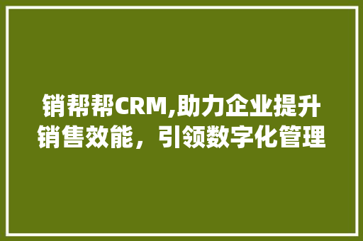 销帮帮CRM,助力企业提升销售效能，引领数字化管理新潮流(销帮帮crm官网)