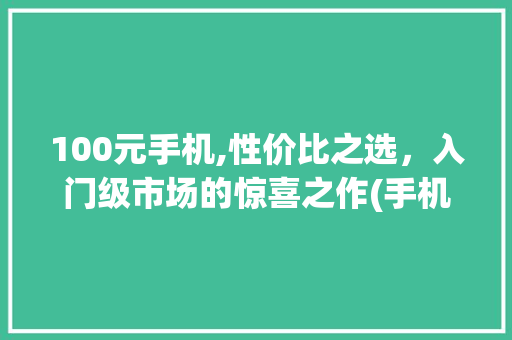 100元手机,性价比之选，入门级市场的惊喜之作(手机100元) 汽车常识