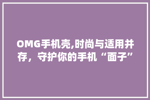 OMG手机壳,时尚与适用并存，守护你的手机“面子”(omg手机壳) 旅游攻略
