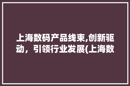 上海数码产品线束,创新驱动，引领行业发展(上海数码产品线束) 健康母婴