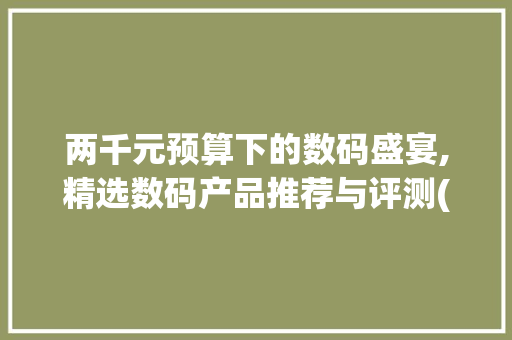 两千元预算下的数码盛宴,精选数码产品推荐与评测(两千元的数码产品) 健康母婴