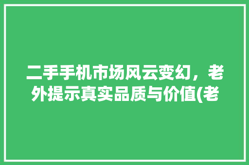 二手手机市场风云变幻，老外提示真实品质与价值(老外二手手机)