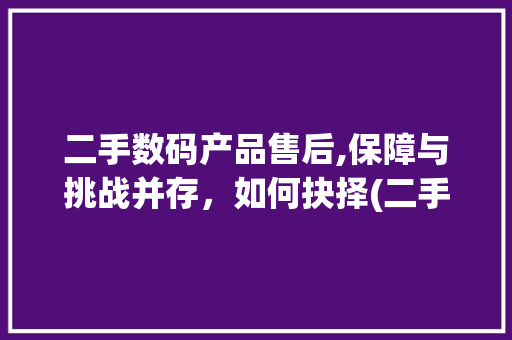 二手数码产品售后,保障与挑战并存，如何抉择(二手数码产品售后)