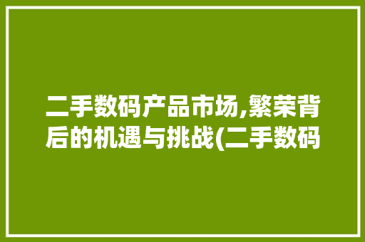 二手数码产品市场,繁荣背后的机遇与挑战(二手数码产品装置)