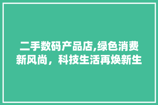 二手数码产品店,绿色消费新风尚，科技生活再焕新生(二手数码产品店面)